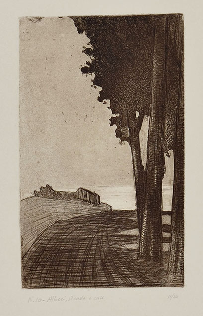 ALBERI, STRADA E CASE